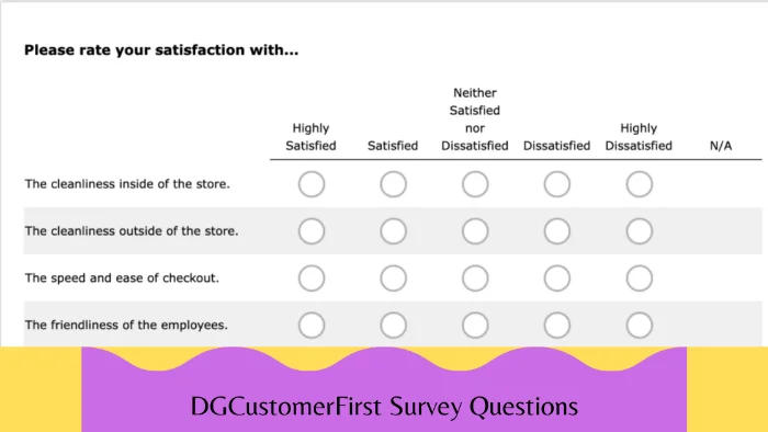 DGCustomerFirst Survey Questions