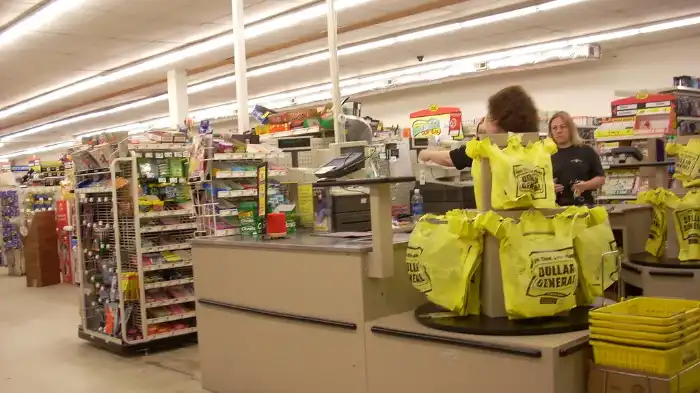 Is Dollar General making money?-featured image