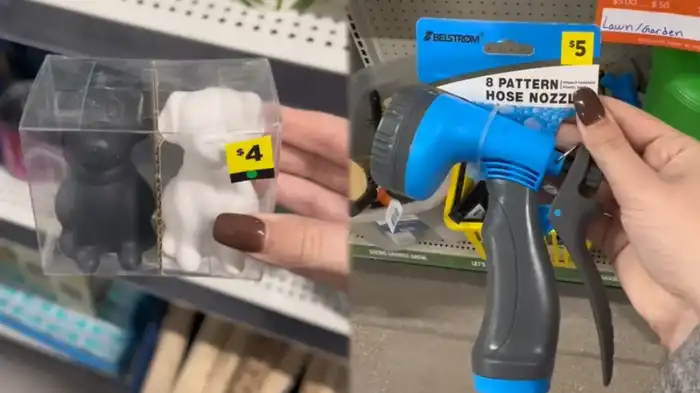 What is the green dot on the Dollar General penny?-featured image
